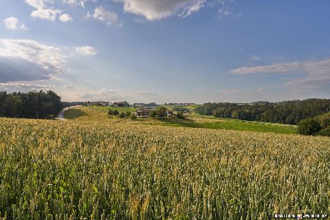 Gemeinde Reischach Landkreis Altötting Wipfelsberg Blick nach Wissersdorf Hatzelsberg Hoheneck (Dirschl Johann) Deutschland AÖ